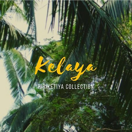 Kelaya At Hiriketiya Collection Hotel Dikwella Eksteriør billede