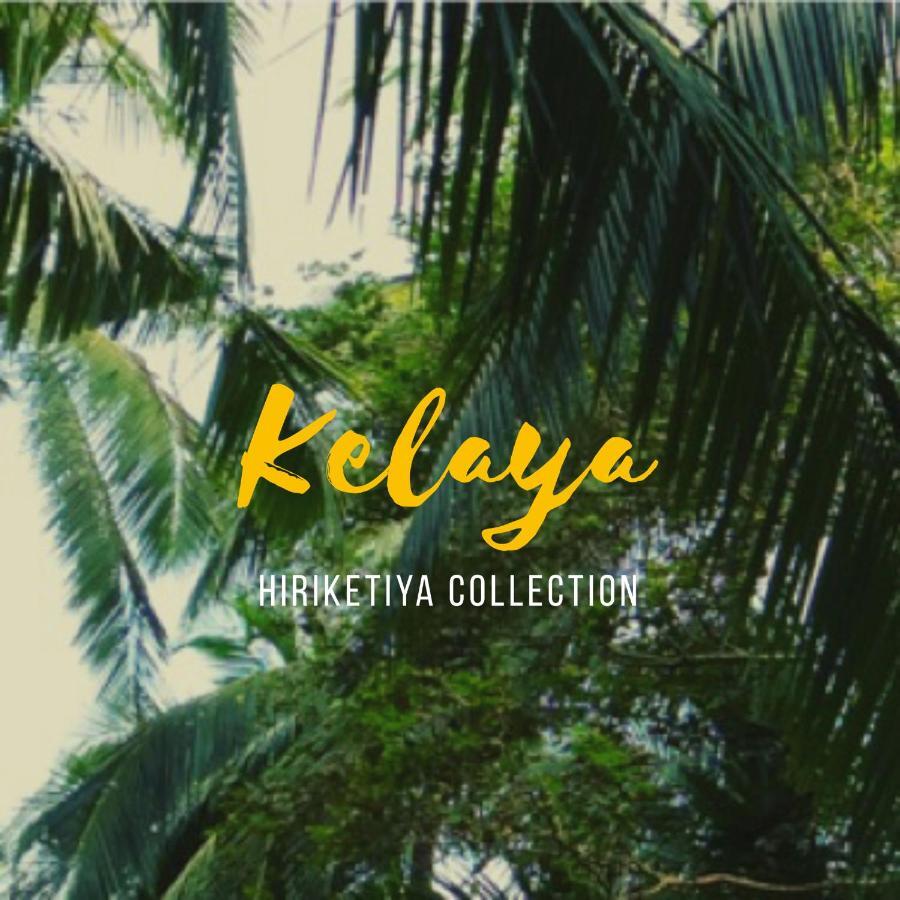 Kelaya At Hiriketiya Collection Hotel Dikwella Eksteriør billede